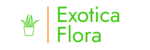Plantas Exoticas